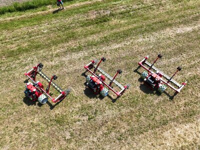 019_3xCosmos_von_oben_DJI_0487.JPG