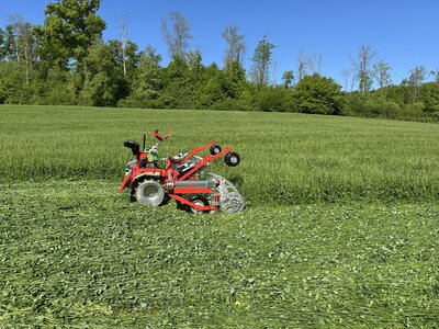 012_COSMOS_IMG_2242.JPG