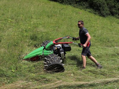 Rapid MONTA M231