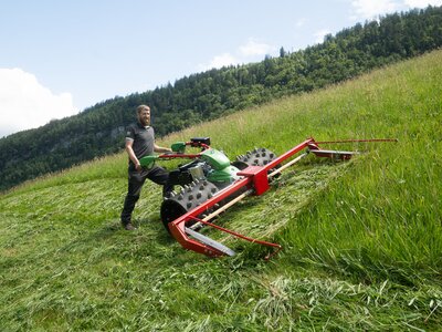 Rapid MONTA S231