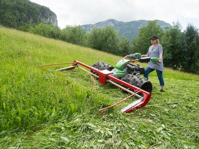 Rapid MONTA S231