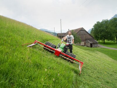 Rapid MONTA S231