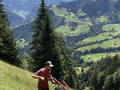 Stachelwalzen