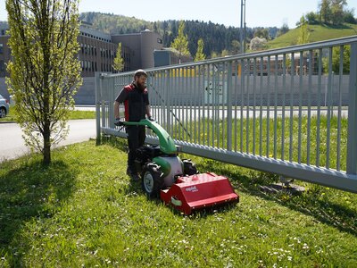 Rapid MONDO M141 