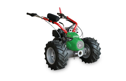 Rapid REX