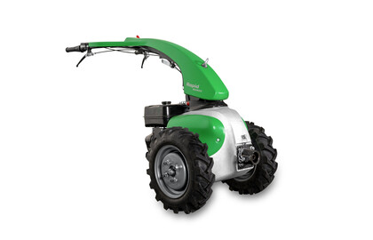 Rapid MONDO M091
