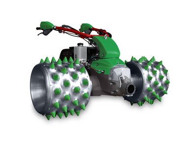 Rapid MONTA S161
